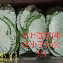 干荷叶(小叶R≤25公分)