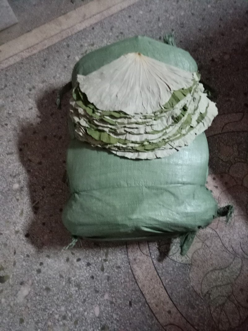 干荷叶(小叶R≤25公分)