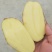 土豆3两以上西瓜红龙九冬瓜南瓜长豆精品