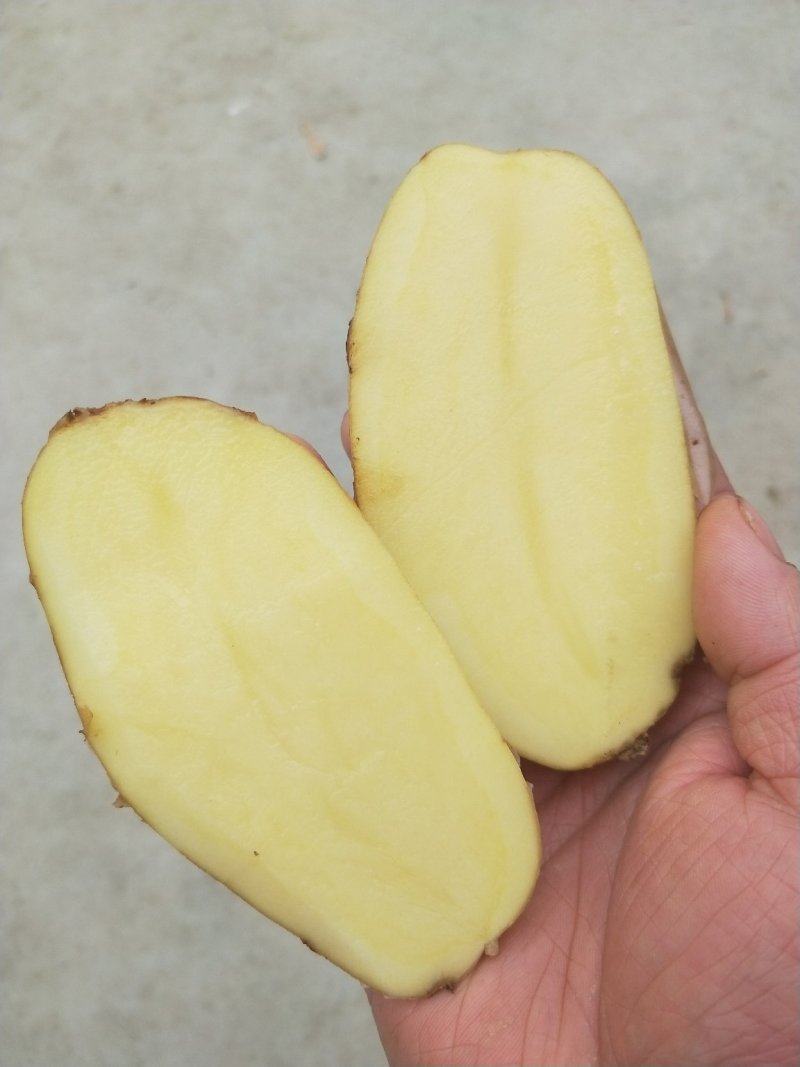 土豆3两以上西瓜红龙九冬瓜南瓜长豆精品