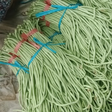 长豆角
