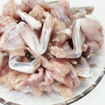 商品现宰现杀！活蛙白条都可以发货！个大体壮颜色鲜美肉质细