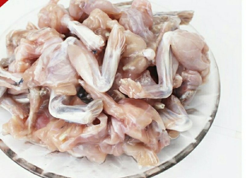 商品现宰现杀！活蛙白条都可以发货！个大体壮颜色鲜美肉质细