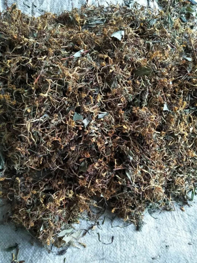 山银花