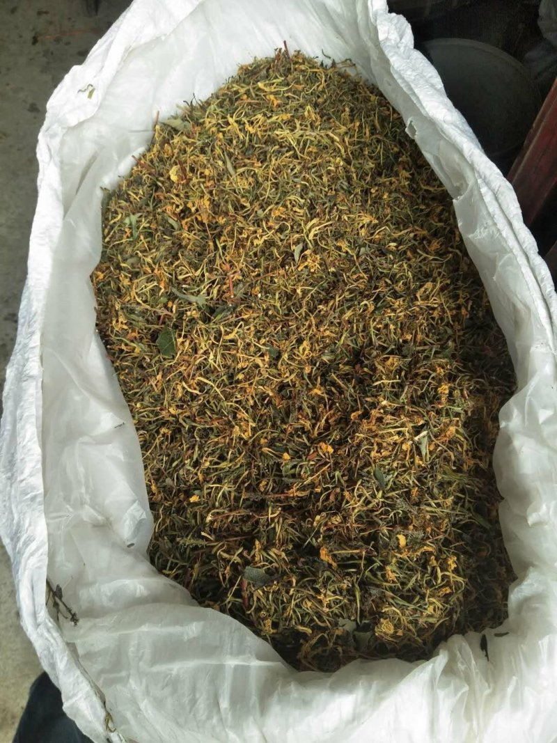 山银花