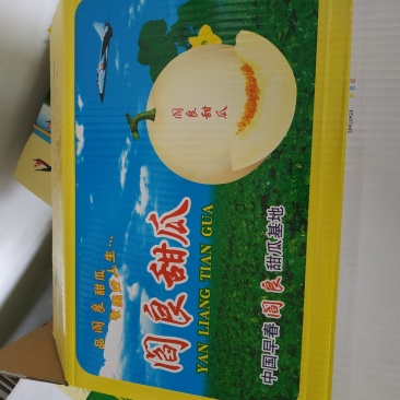 南瓜二斤以上己上市大量供应