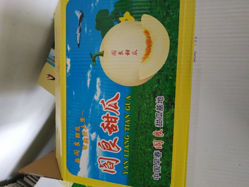 南瓜二斤以上己上市大量供应