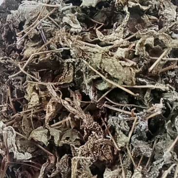 藤茶，莓茶，神堂莓，茅岩酶茶，长寿藤