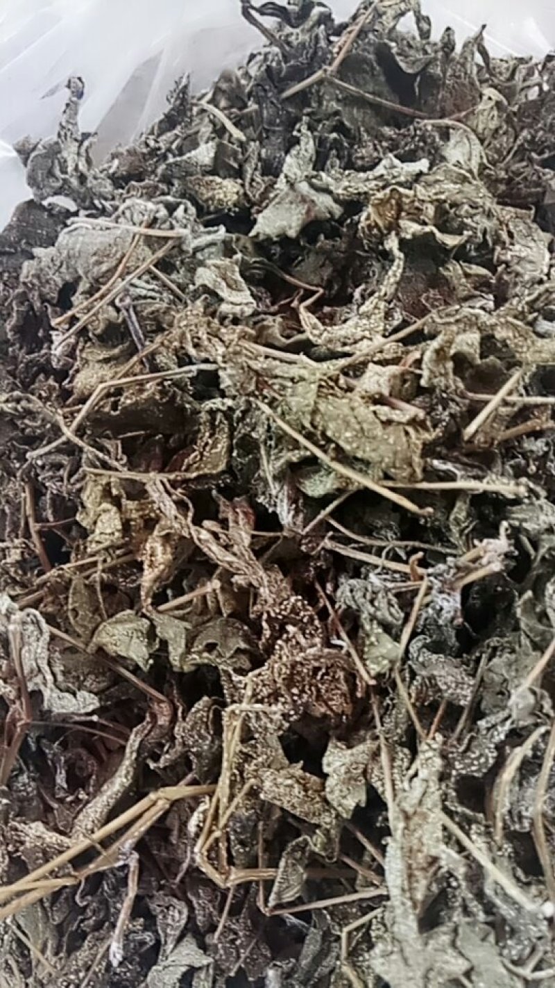 藤茶，莓茶，神堂莓，茅岩酶茶，长寿藤