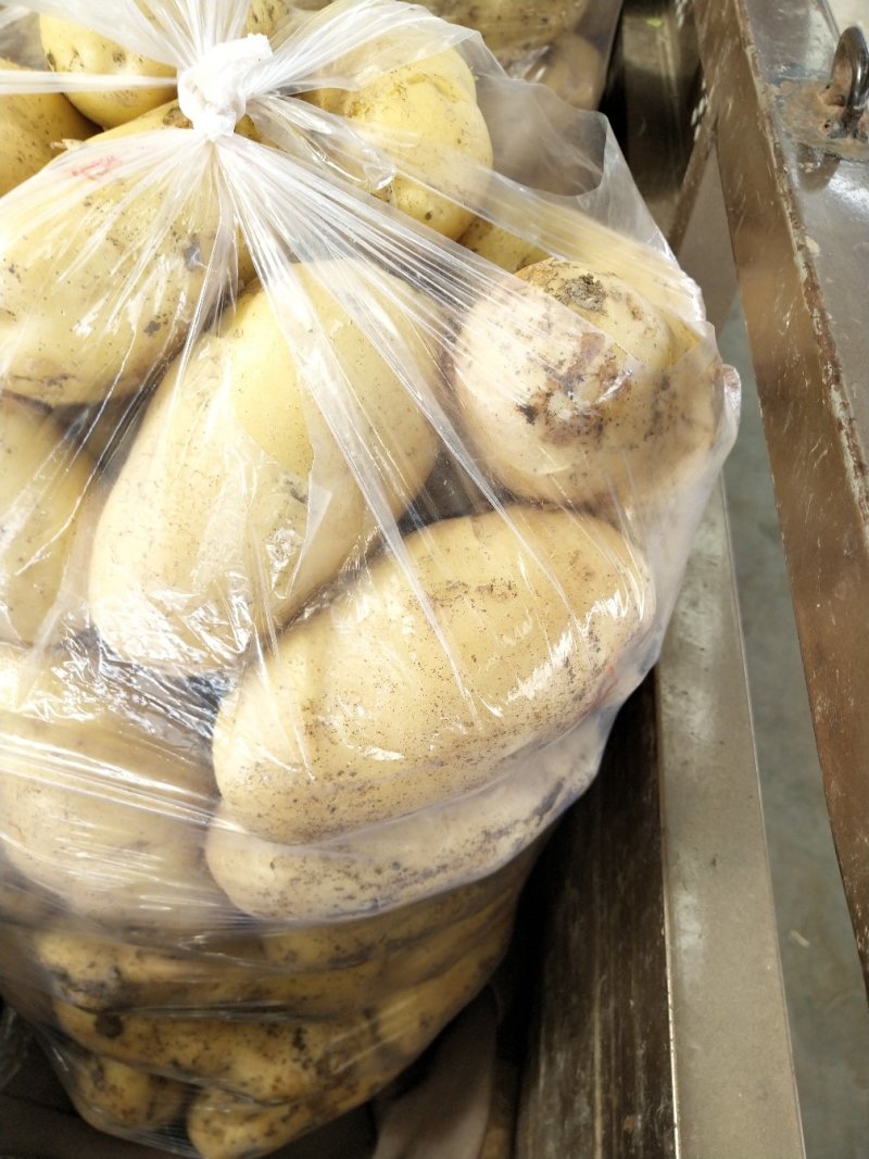 土豆大量上市啊。