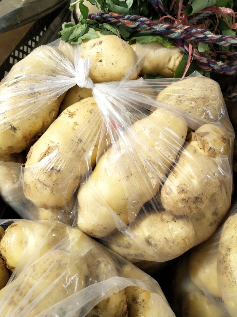 土豆大量上市啊。