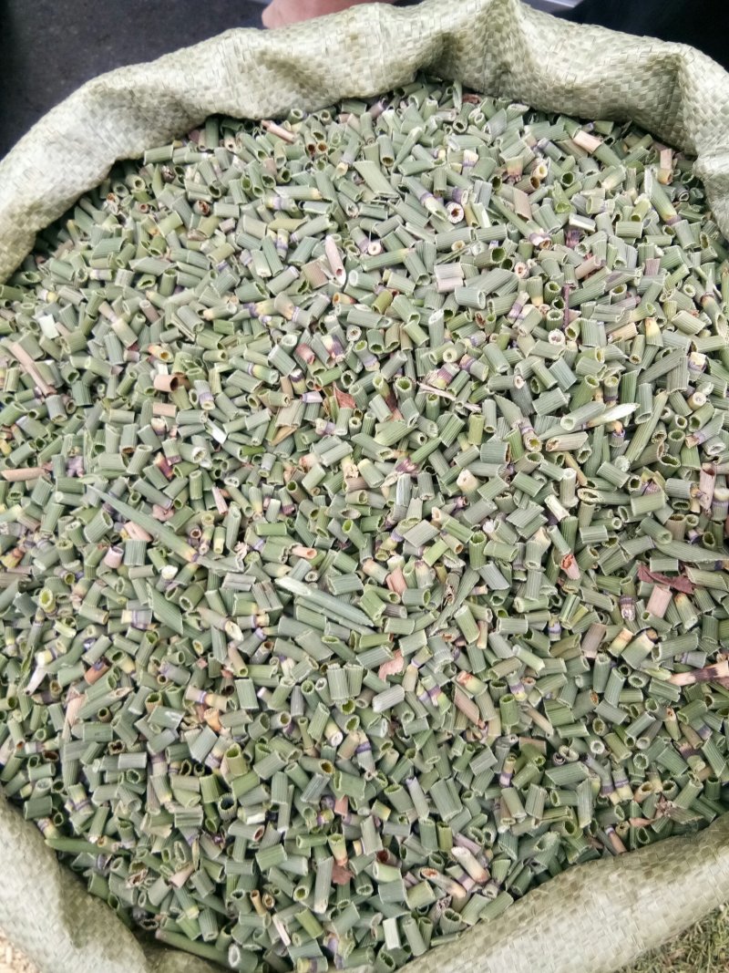 木贼色泽好人工挑选无杂质疏风清热一公斤起