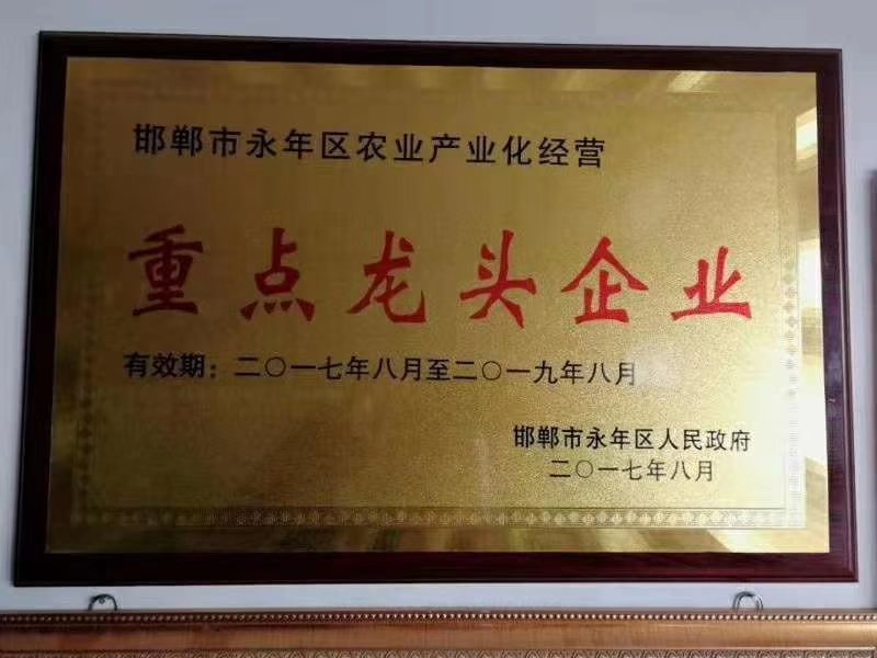 腐植酸发酵鸡粪/有机肥/改良土壤有机肥料