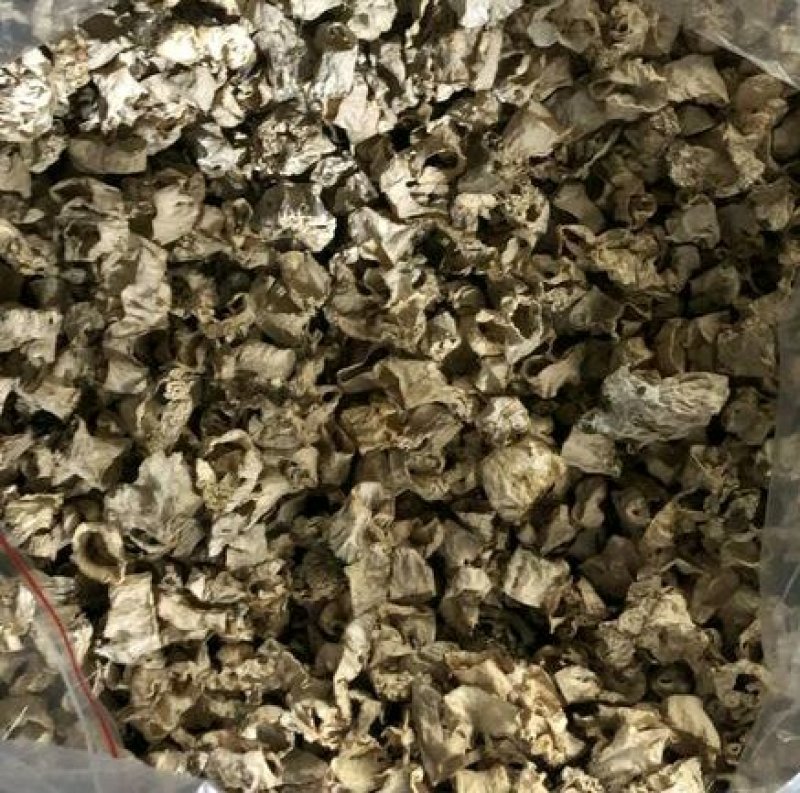 羊肚菌剪脚