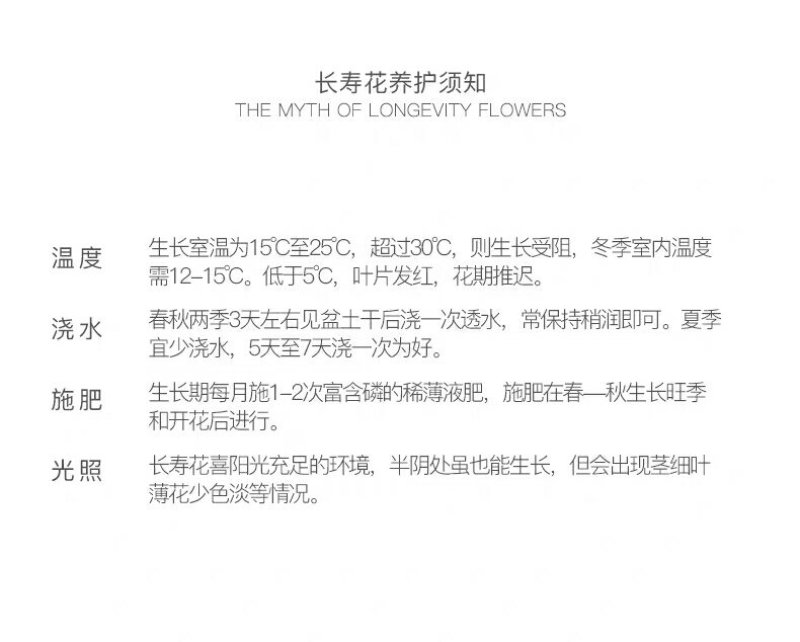 长寿花盆栽绿植植物办公室桌面花卉绿植防辐射净化空气室内植