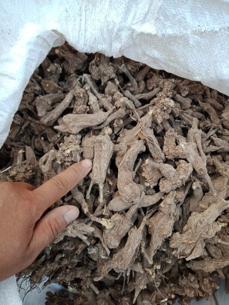 一年干白术，炕货，白茬，10吨