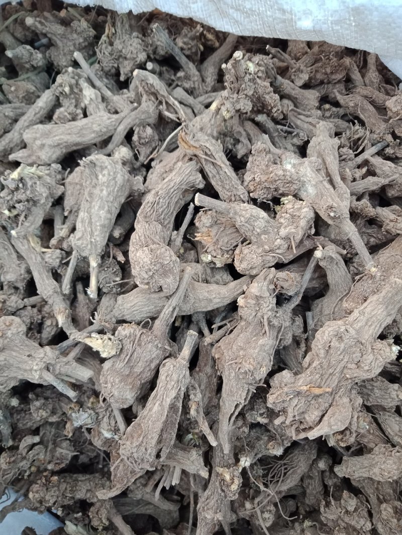 一年干白术，炕货，白茬，10吨
