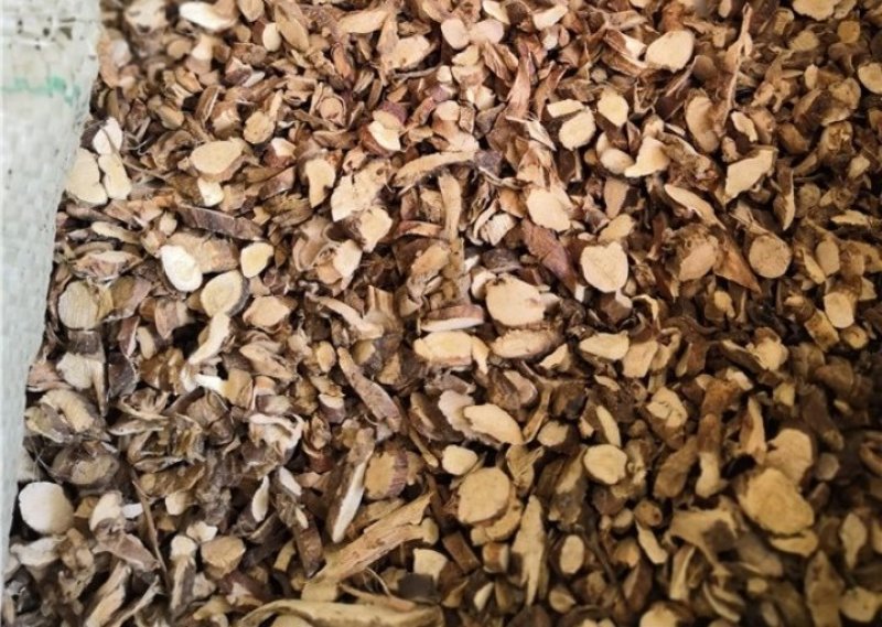 石菖蒲新货正品石菖蒲大别山石菖蒲干净过筛无杂质