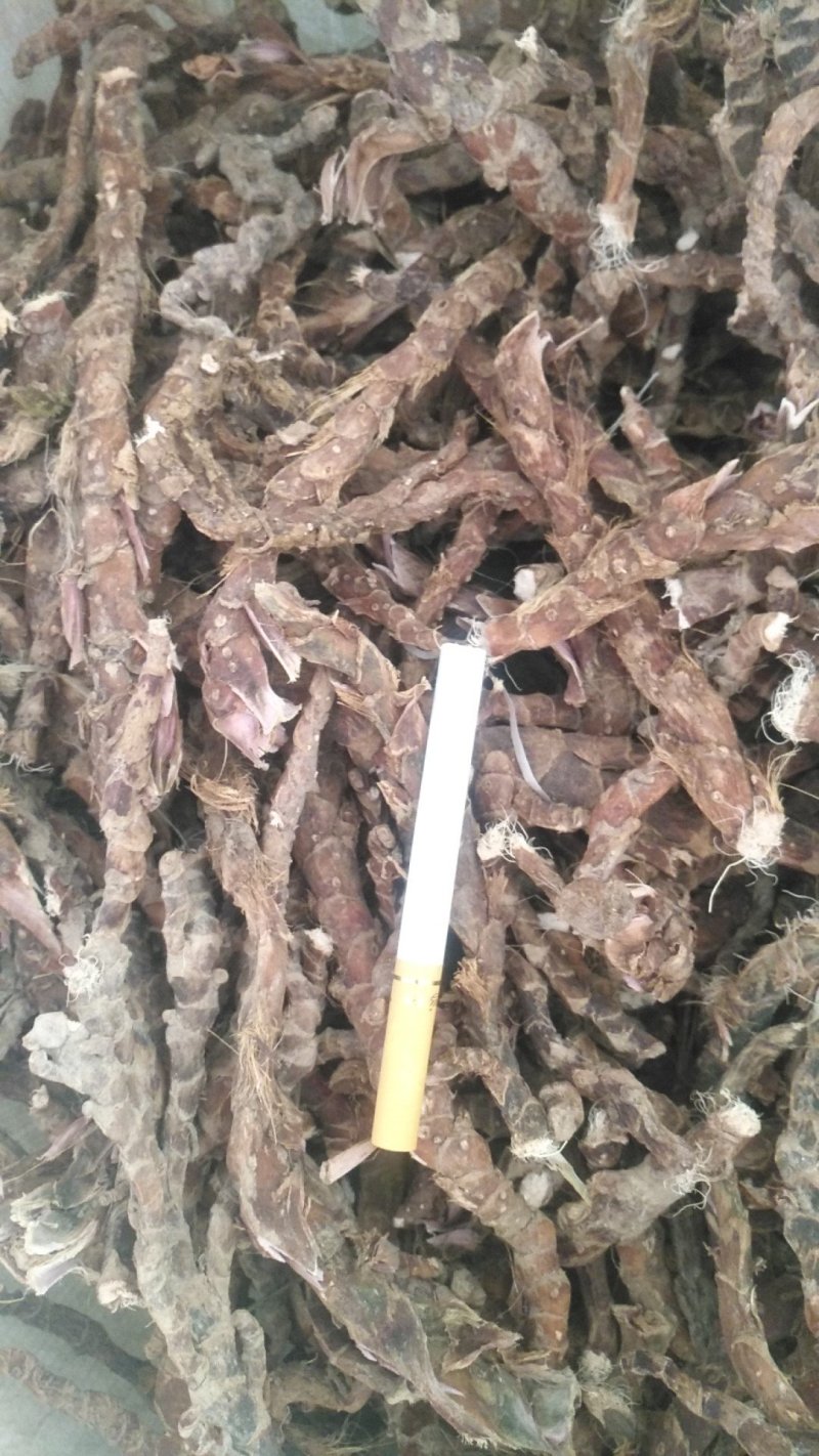 石菖蒲，干度好无毛需要联系