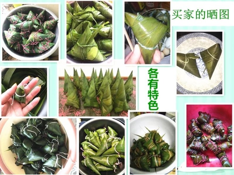 芦苇叶新鲜芦苇叶粽叶