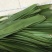 芦苇叶新鲜芦苇叶粽叶