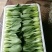 【精品】油菜蔬菜内有大型冷库，冷链物流配送一条龙服务