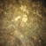 鱼腥草～～～～～～～～～～