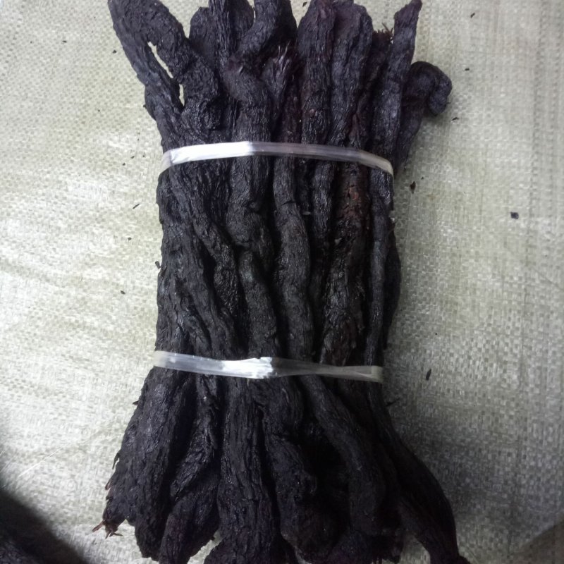精品特级软质肉苁蓉内蒙野生肉苁蓉批发零售量大从优