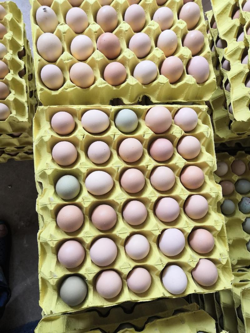 小粉蛋，开产土鸡蛋，新鲜发货，质优价廉