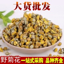 野菊米野菊花珍珠菊花草茶供应上千品种一站购