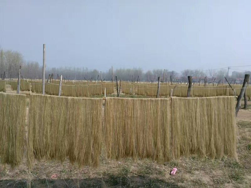 淮南牛肉汤专用粉丝鸭血粉丝专用
