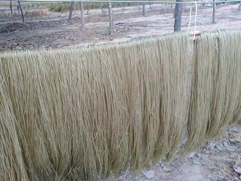 淮南牛肉汤专用粉丝鸭血粉丝专用
