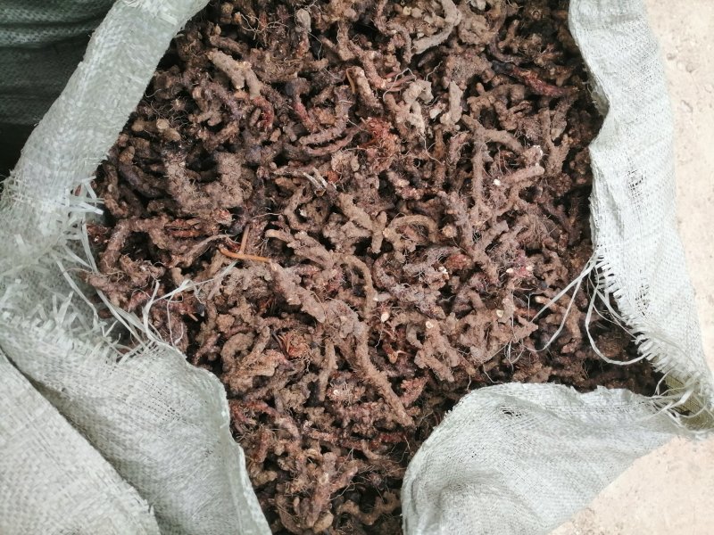 淫羊藿，仙灵脾供应