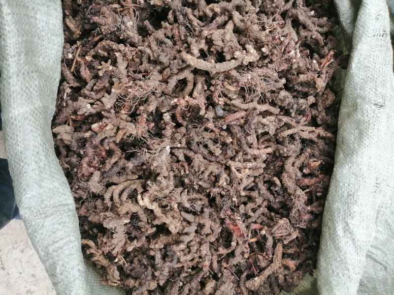 淫羊藿，仙灵脾供应