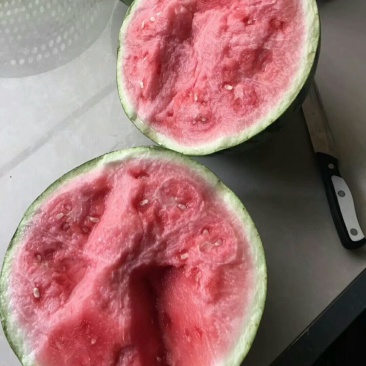 8424西瓜