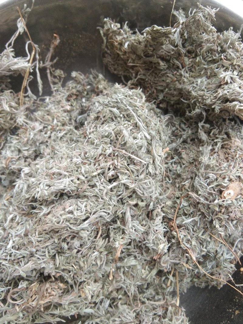 高含量茵陈