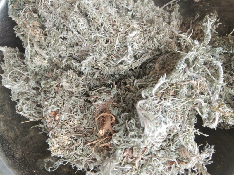高含量茵陈
