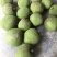 菠萝蜜，珍珠菠萝蜜，专业代办，随时欢迎老板来采购