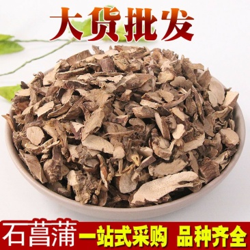 石菖蒲水菖蒲菖蒲供应上千种中药材