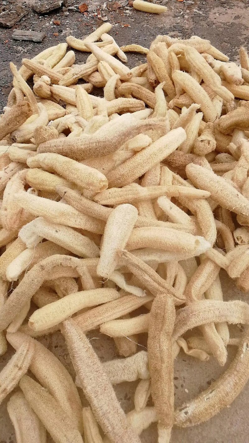 丝瓜络