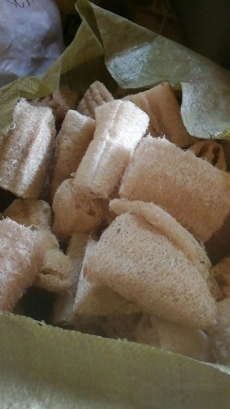 丝瓜络