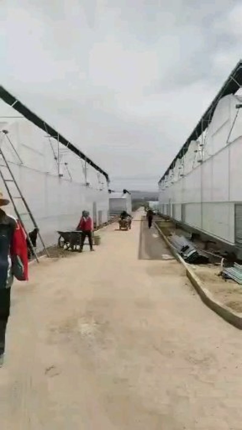 厂家定制连体大棚规格齐全，坚固耐用，价格实惠，包邮包安装