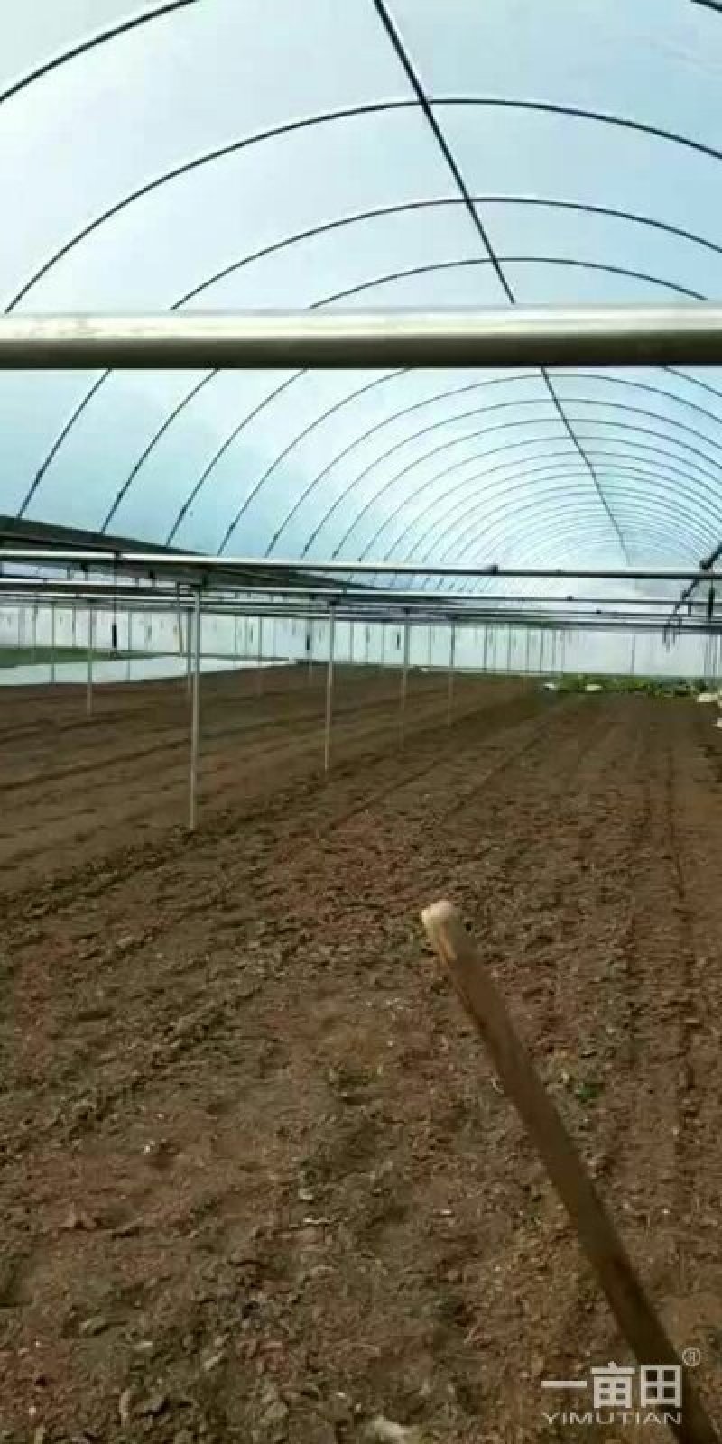 厂家定制连体大棚规格齐全，坚固耐用，价格实惠，包邮包安装