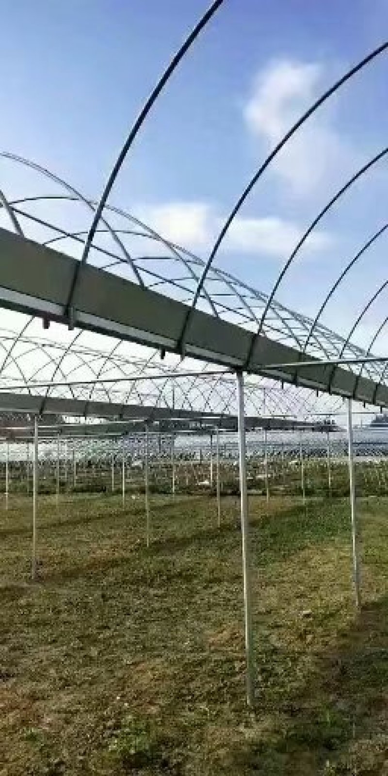 厂家定制连体大棚规格齐全，坚固耐用，价格实惠，包邮包安装