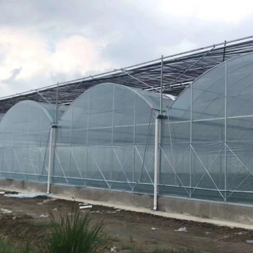 厂家定制连体大棚规格齐全，坚固耐用，价格实惠，包邮包安装