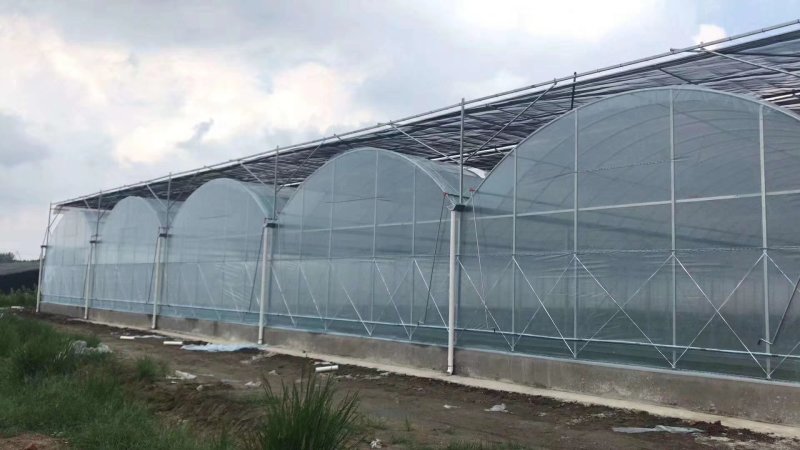 厂家定制连体大棚规格齐全，坚固耐用，价格实惠，包邮包安装