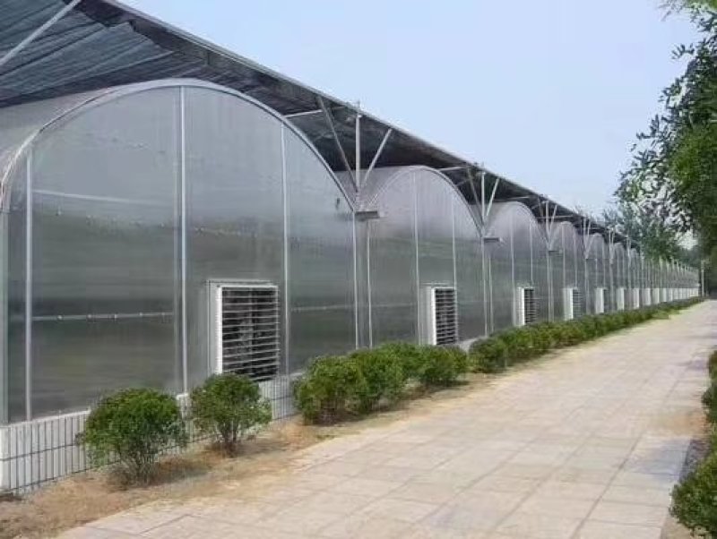 厂家定制连体大棚规格齐全，坚固耐用，价格实惠，包邮包安装