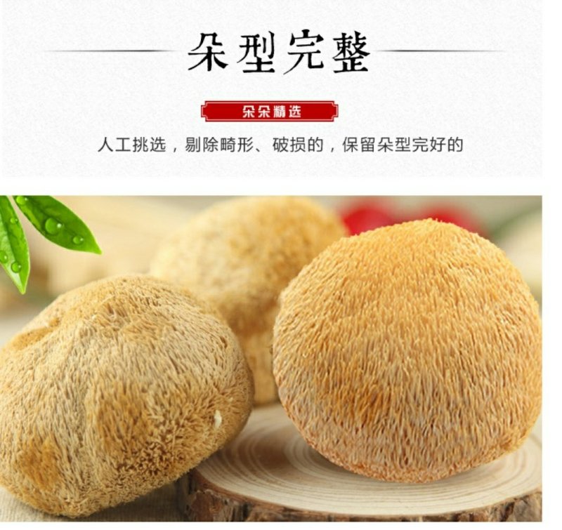 厂家直销猴头菇干货散装东北特产养胃猴头菇食用菌