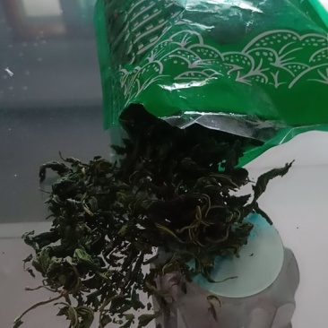 桑叶茶