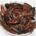 小龙虾，海虾玉米黄豆饲喂